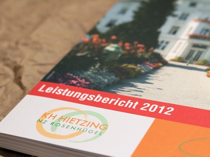 Krankenhaus Hietzing, Leistungsbericht 2012