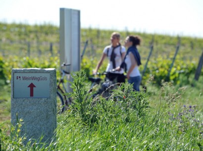 WeinWegGols, Wegweiser