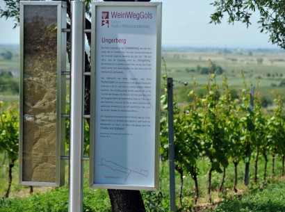 WeinWegGols, Infostele