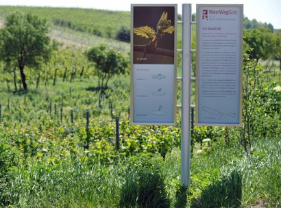 WeinWegGols, Infostele